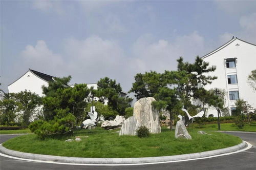 熱烈祝賀紫荊花怡養(yǎng)小鎮(zhèn)景觀綠化一期工程榮獲年度六安市建設工程“皋城杯”獎