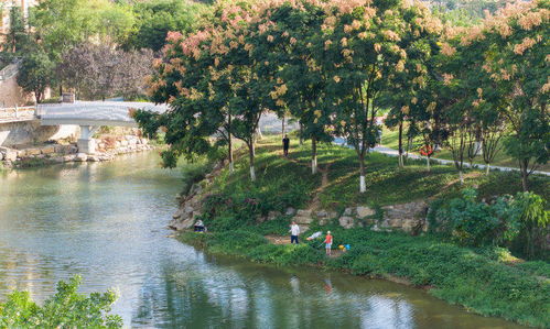 重慶南川濱河公園品質(zhì)提升改造全面完成，城市綠化管理助力休閑觀光體驗全面升級